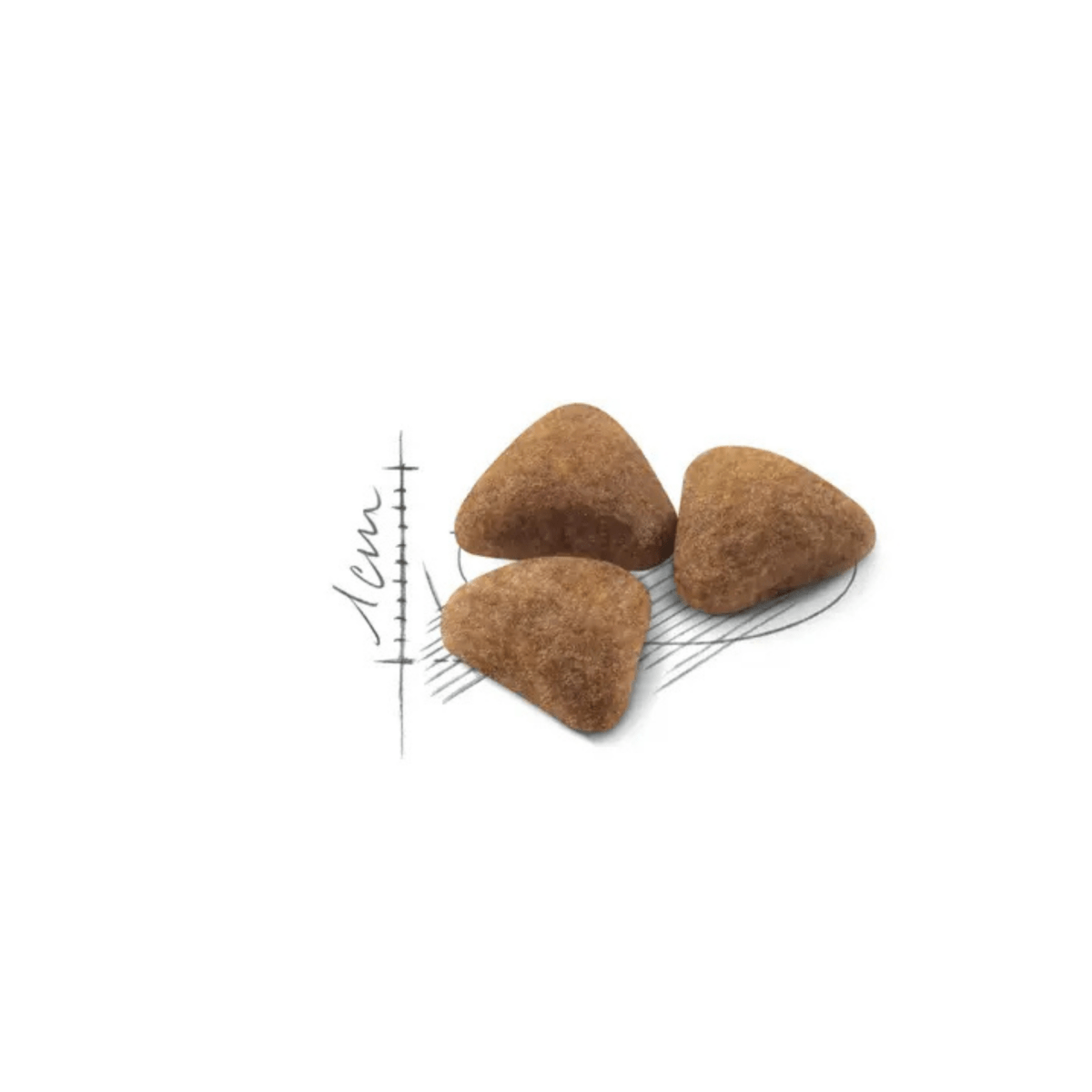 Royal Canin Indoor Cat Food - Pet Supply